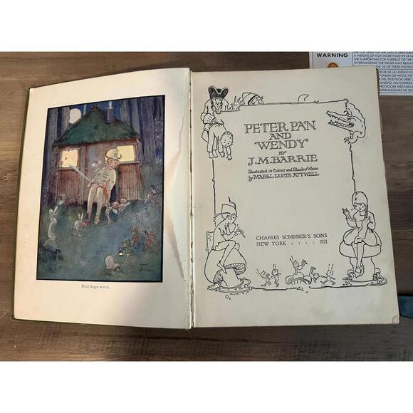 Peter Pan & Wendy by J.M. Barrie 1921 First Illustrated Edition Fairy Tale Book - Picture 4 of 9